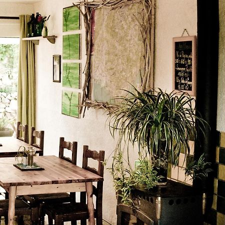 Gite De La Baume , Aux Delices Du Verdon 카스텔란 외부 사진